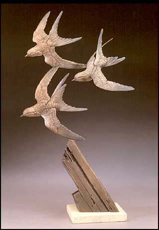 Barn Swallows 1997