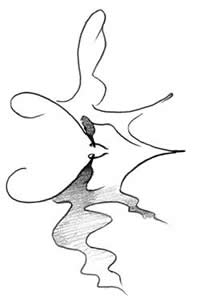 Common Tern Preliminary Sketch