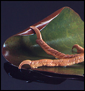 Purple Gallinule, Foot Detail