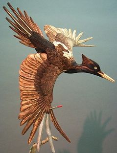 Ivory-Billed Woodpecker: Unpainted