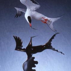 Common Tern. Click for sculpture details.