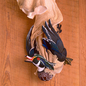 Duck in Sack. Click for sculpture details.