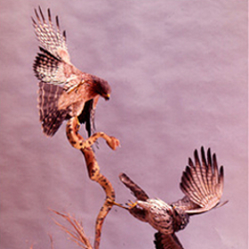 Hawk and Snake. Click for sculpture details.
