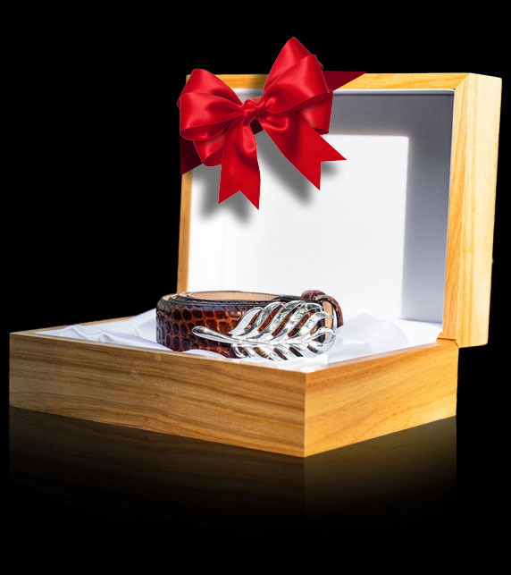 Make Your Holidays Shine