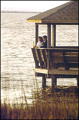 Currituck Sound Overlook